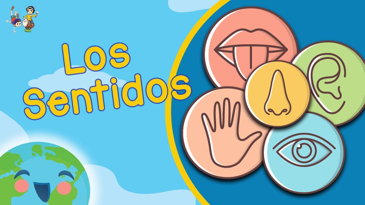 Los Sentidos para Niños (Videos Educativos para Niños)