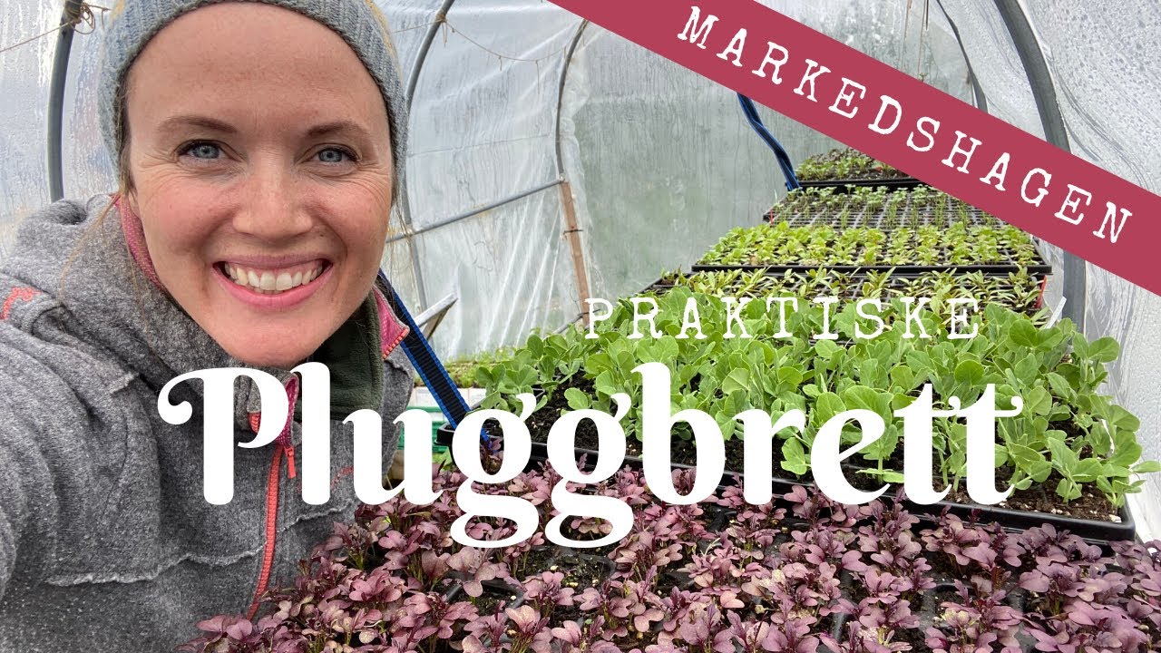 Praktiske Pluggbrett