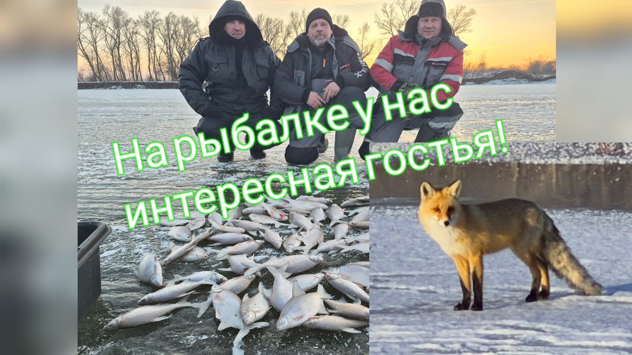 Рыбалка в Селитренном на р.Ахтуба. Зима 2026.Астраханская область