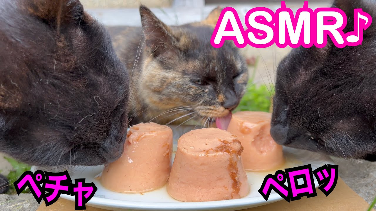 【猫ASMR】久しぶりのちゅーるタワーだぞ！Churu Tower after a long time