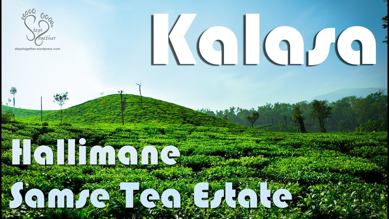 Kalasa | Samse Tea Estate | Hallimane | Karnataka Tourism | Steps Together