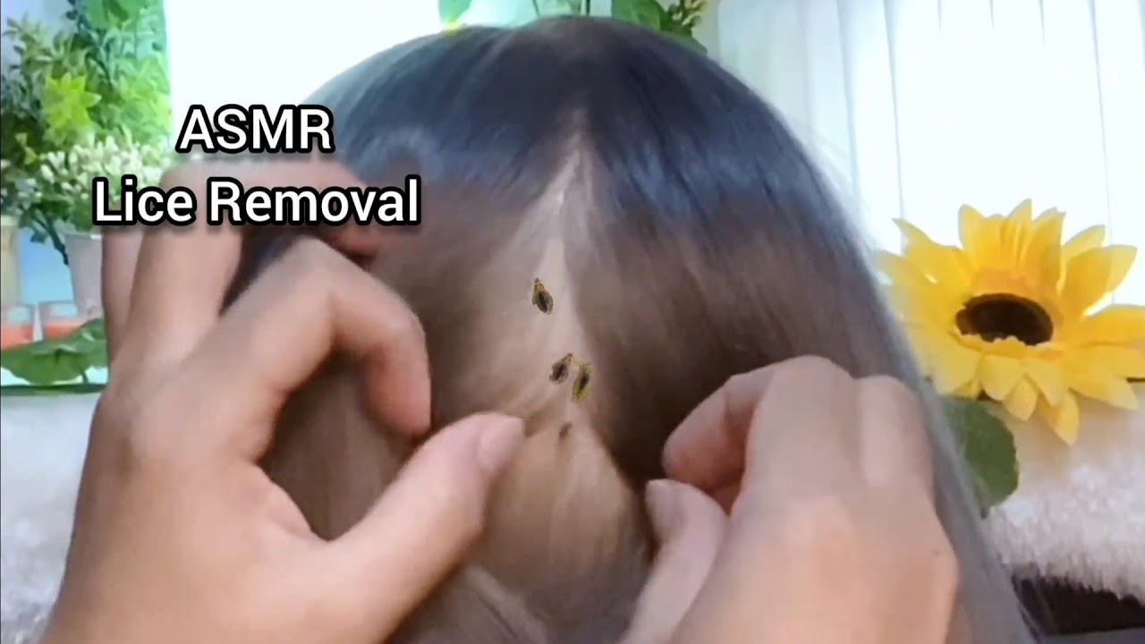ASMR Scalp Check and lice Removal | No Talking 😴💤🥱