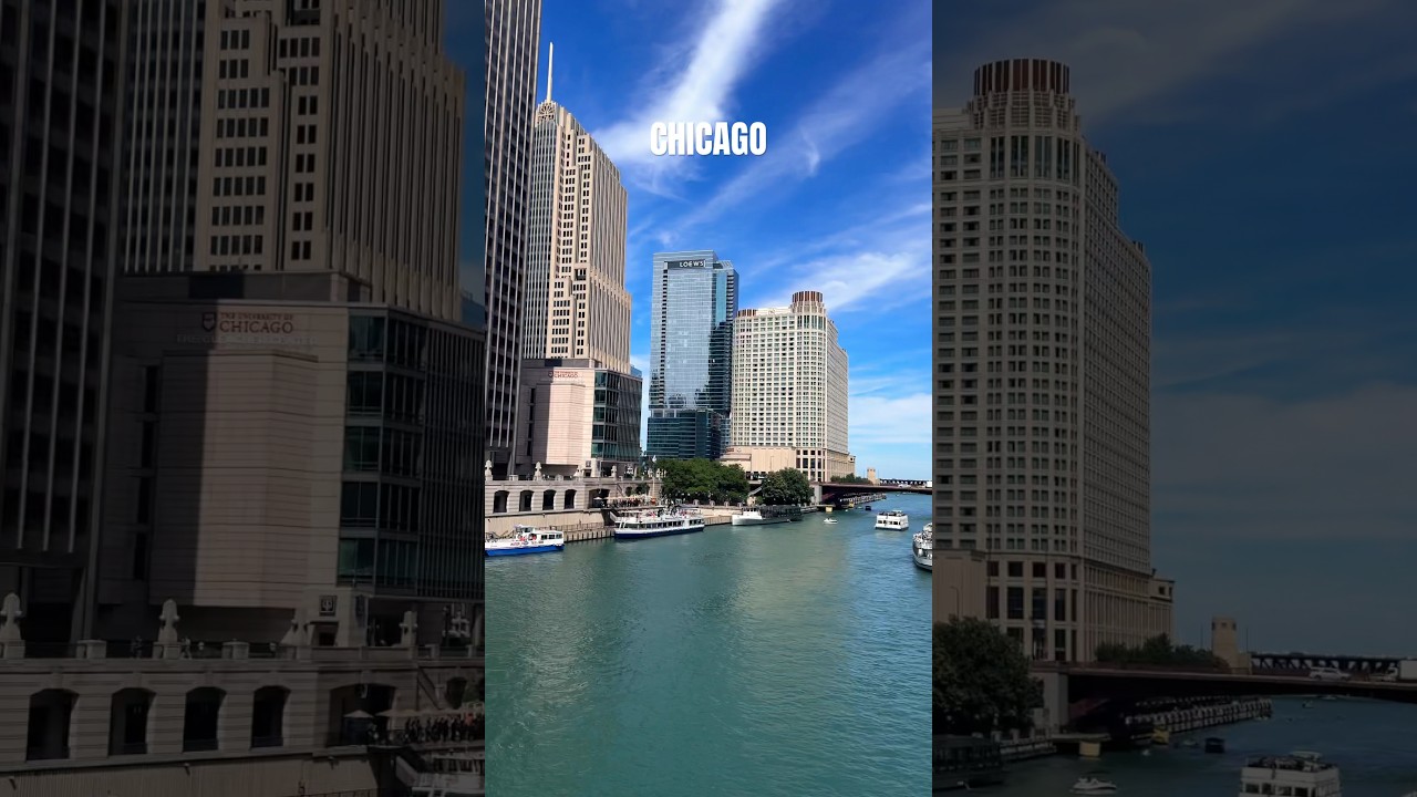Chicago River View, Downtown Chicago, Illinois, USA 🏙️🇺🇸#summer #travelchicago ##usareels #river