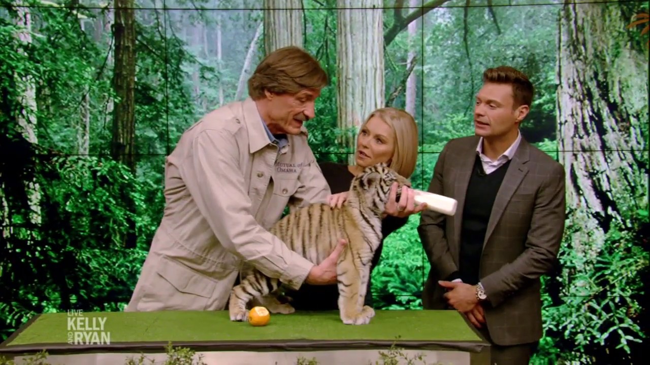 Tiger Cub Bonded with French Bulldog, and More Animals with Peter Gros