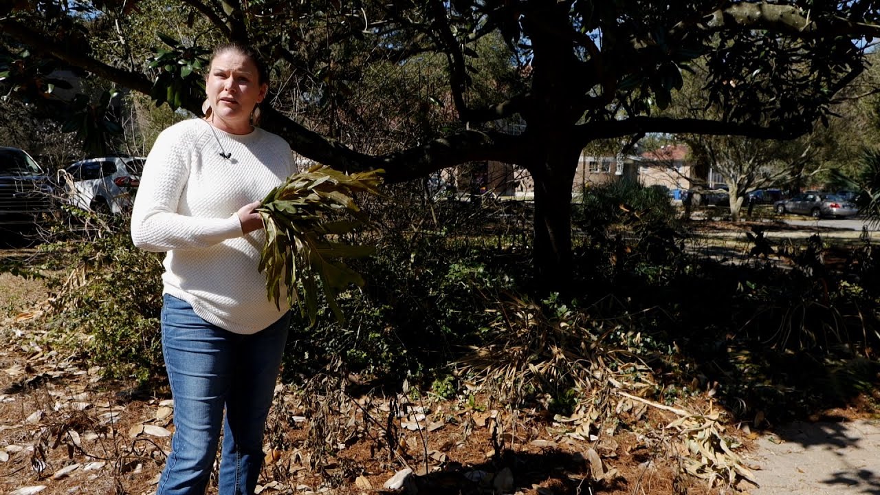 Get It Growing: Wait to trim your freeze-damaged plants