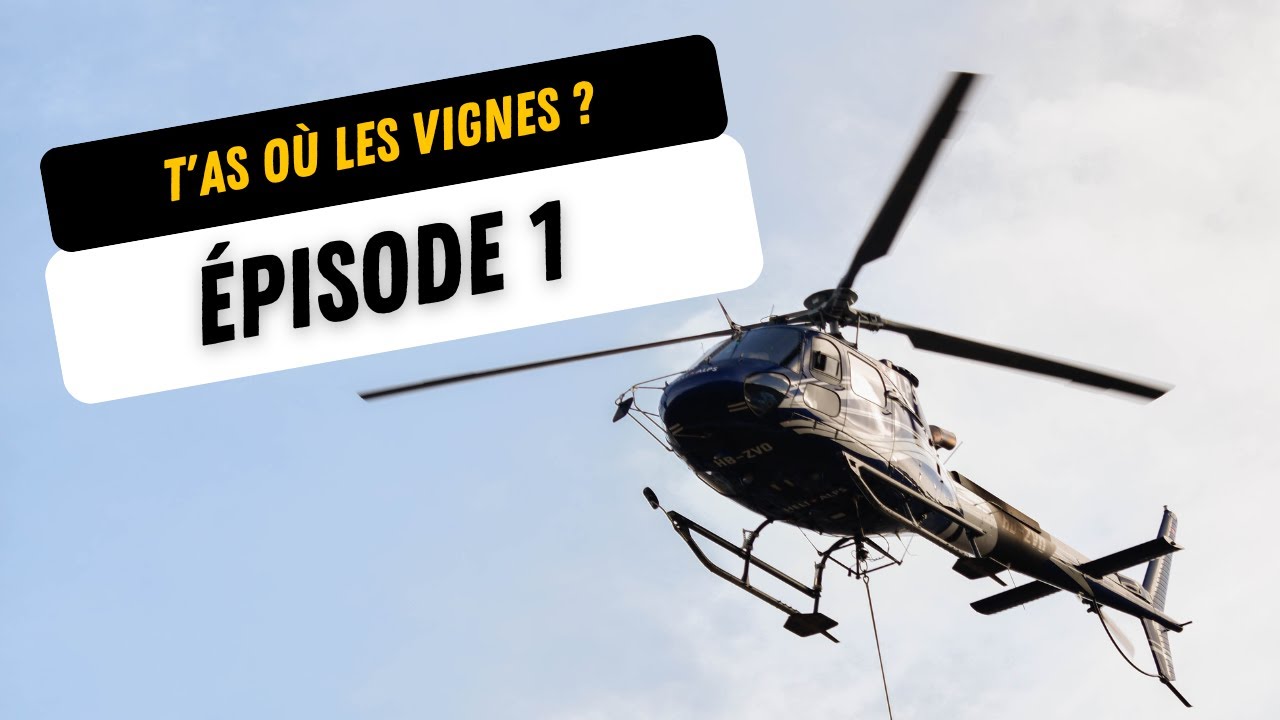 T'AS OÙ LES VIGNES ? - ÉPISODE 1 (les murs)