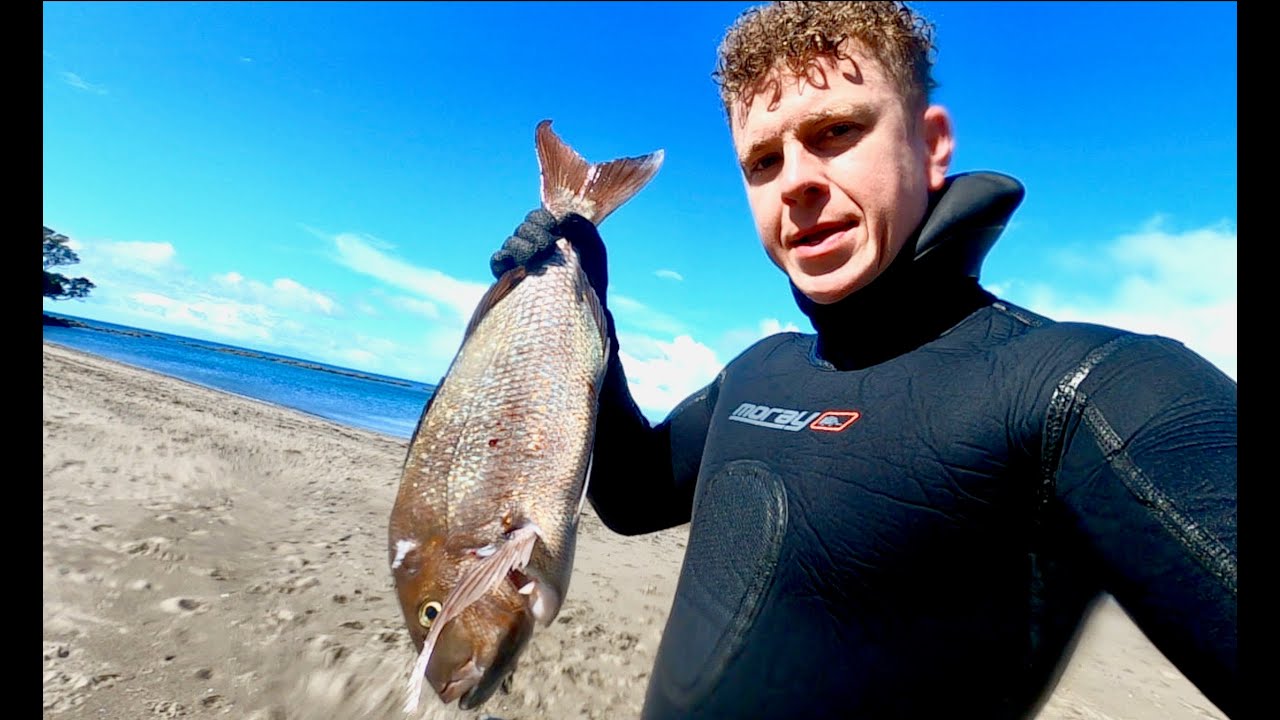 Snapper 'Catch n Cook' | Подводная охота в Новой Зеландии (байдарки Viking Profish-440)