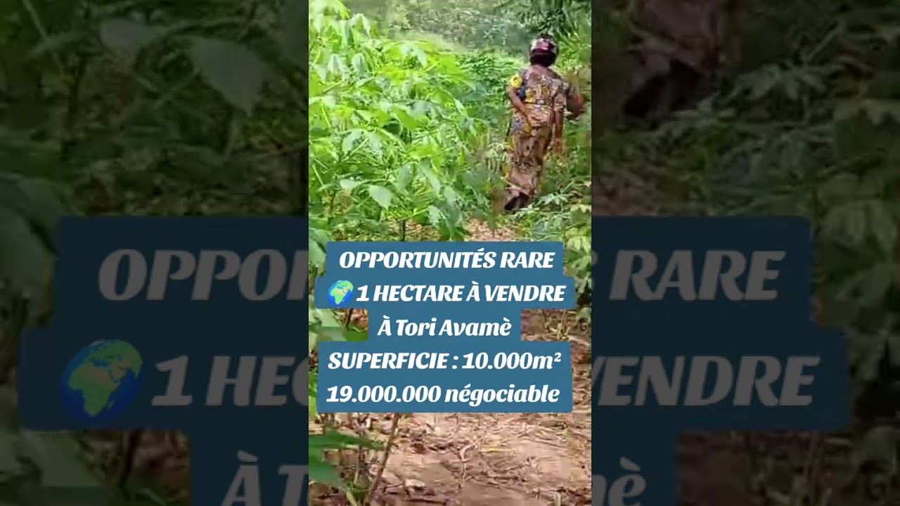OPPORTUNITÉS RARE D'UN HECTARE AU BÉNIN À TORI AVAMÈ. 19.000.000 TF PERSONNEL 