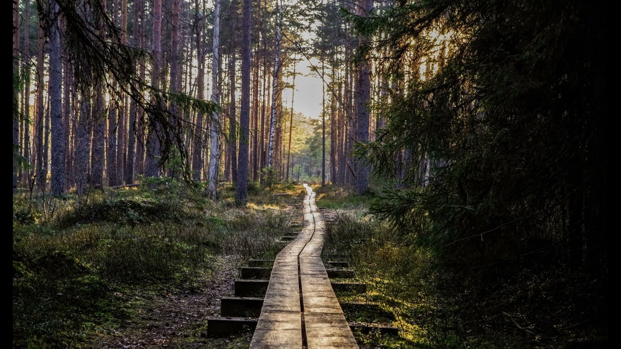 Наполни Боже сердца пустоту Собой!