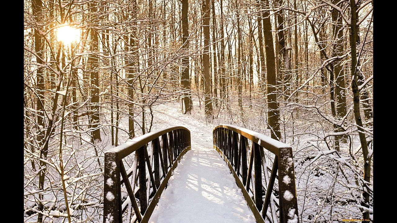 * The Steve Miller Band * (((Winter Time)))