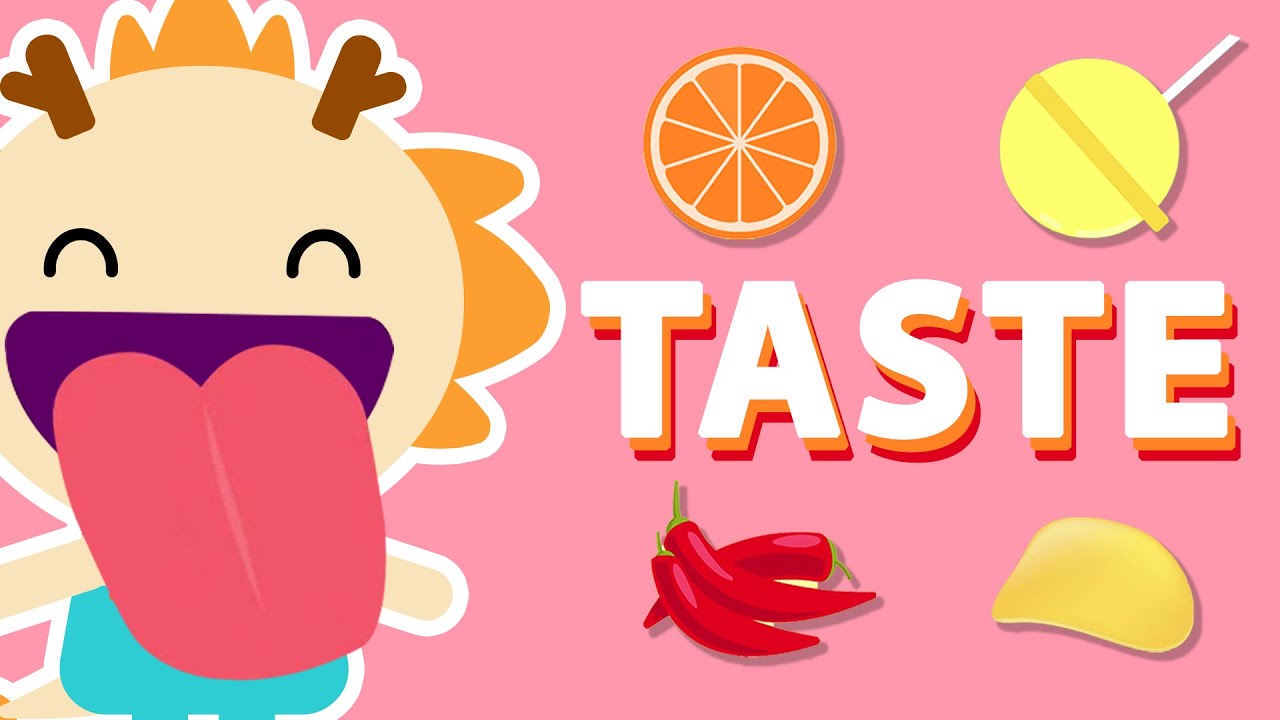 TASTE ♫ | Five Senses Song | Wormhole Learning - Songs For Kids