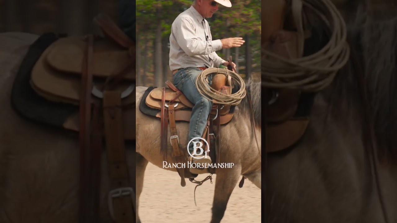 How to Fix a Buddy Sour Horse 1