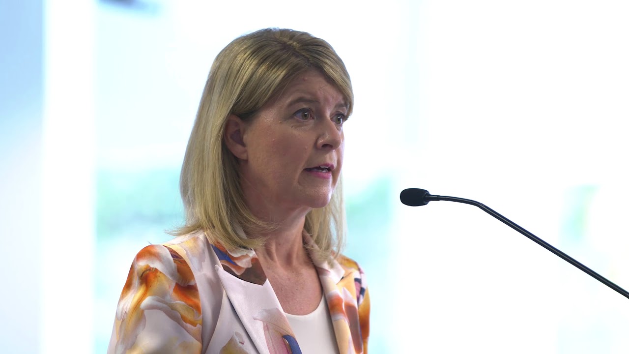 Natasha Stott Despoja AO