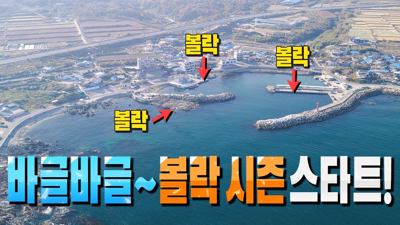 포항 볼락시즌 스타트 오랜만에 볼락 탈탈거림 너무 좋네~