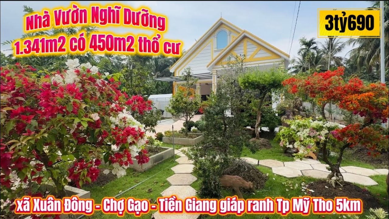 Tập 3592 Bán Nhà Vườn Nghĩ Dưỡng 1.341m2 ở Chợ Gạo - Tặng Nội Thất Vườn Cây Trái Đẹp Mê! 