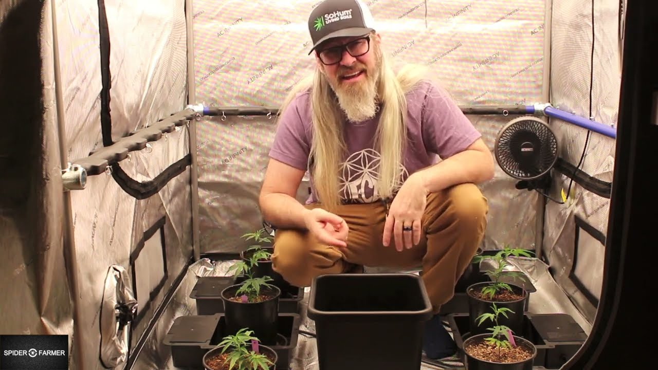 AutoPot USA 3.9 Gallon 1Pot System Set-up Tutorial w/ Chad Westport : Spider Farmer G8600 Grow Light