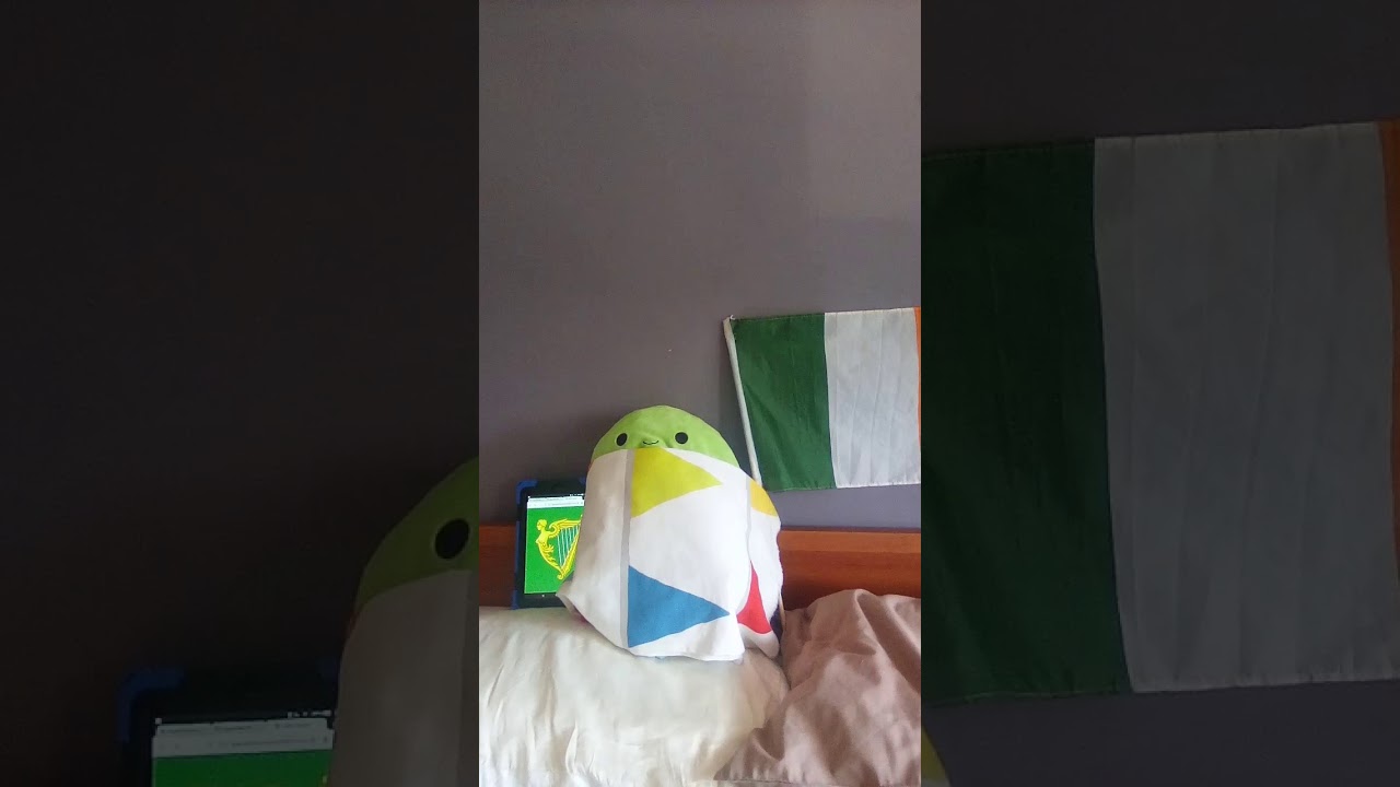 Fun with flags episode 1 (the Irish flag)