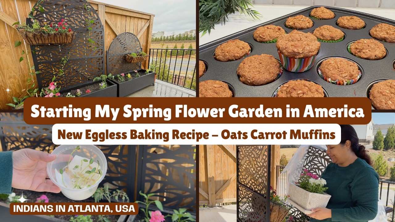 Starting My Spring Garden in America | Amazon Garden Beds | Eggless Baking - Carrot Oats Muffins