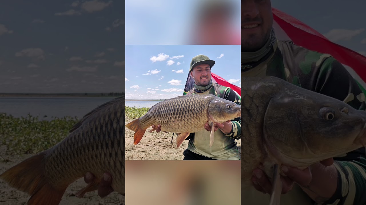 World Carp Classic SA Qualifier 2020