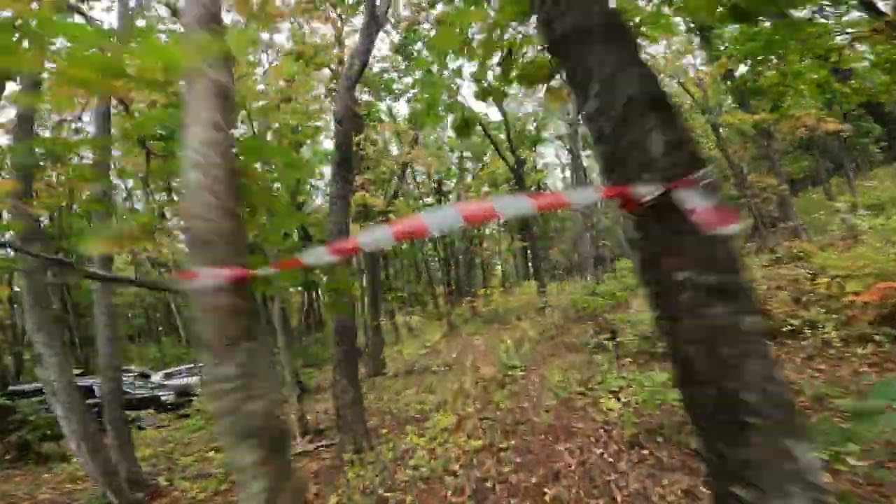 [FPV] GoPro 10 тестирование стаба | полет в лесу