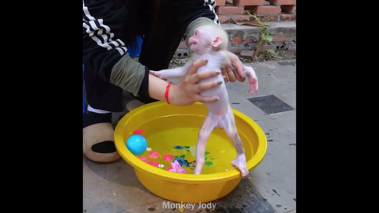 Poor Little monkey Tears! She Scared to take a bath