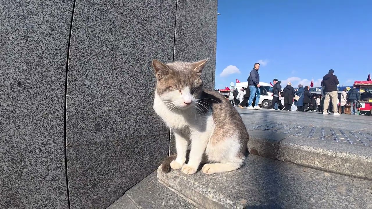 istanbul tour