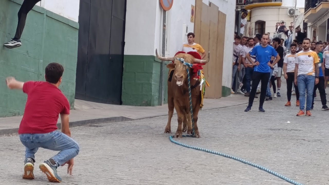 Carcabuey (10-5-25) Toro de: Carmen Valiente/ 