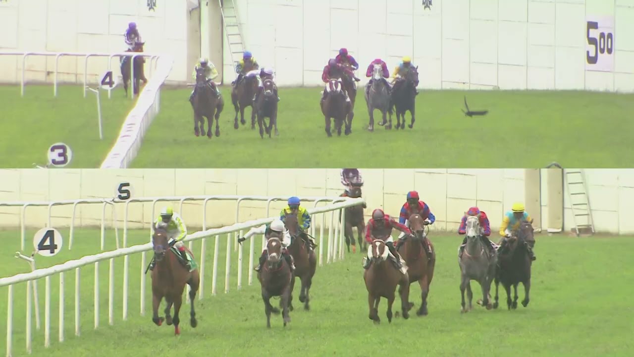 OLIVER : THE JUSTICE P.MEDAPA MEMORIAL TROPHY (84)