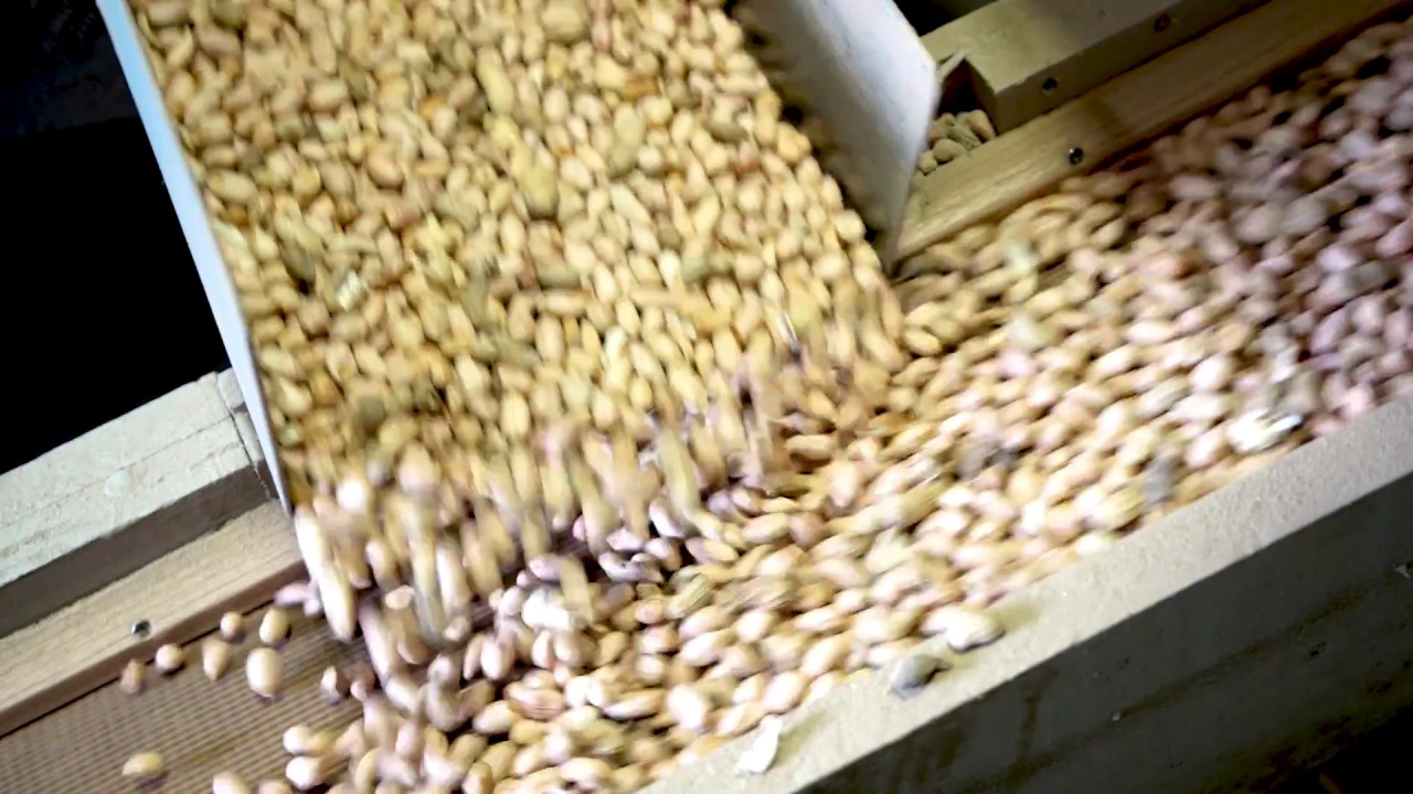 Made in Virginia - Virginia Peanuts
