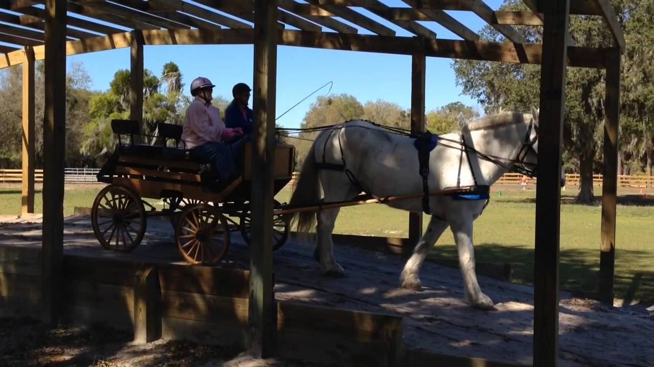 SMART adds sensory trail to aid clients with disabilities - Bradenton Herald - Bradenton.com