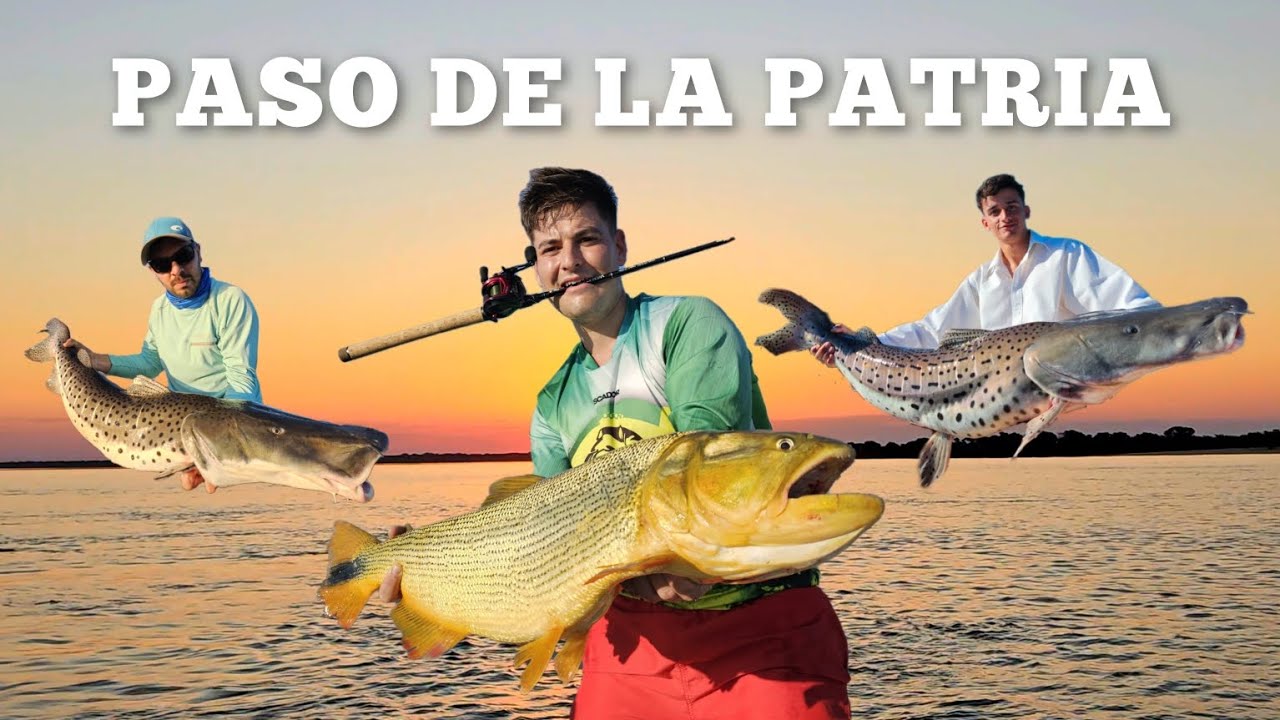 TIERRA de GIGANTES | PESCA en Paso de la Patria 🇦🇷 | Dorados y Surubies 🎣