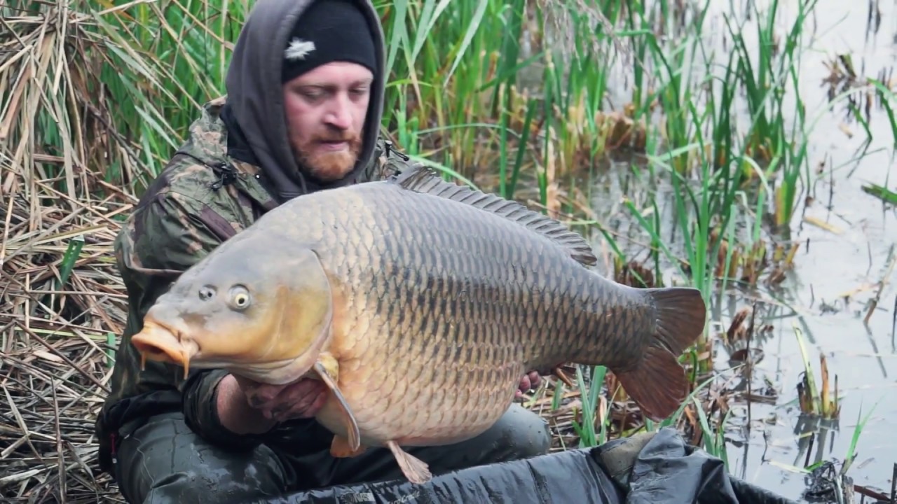 World Carp Classic 2017 - The Movie Part 1