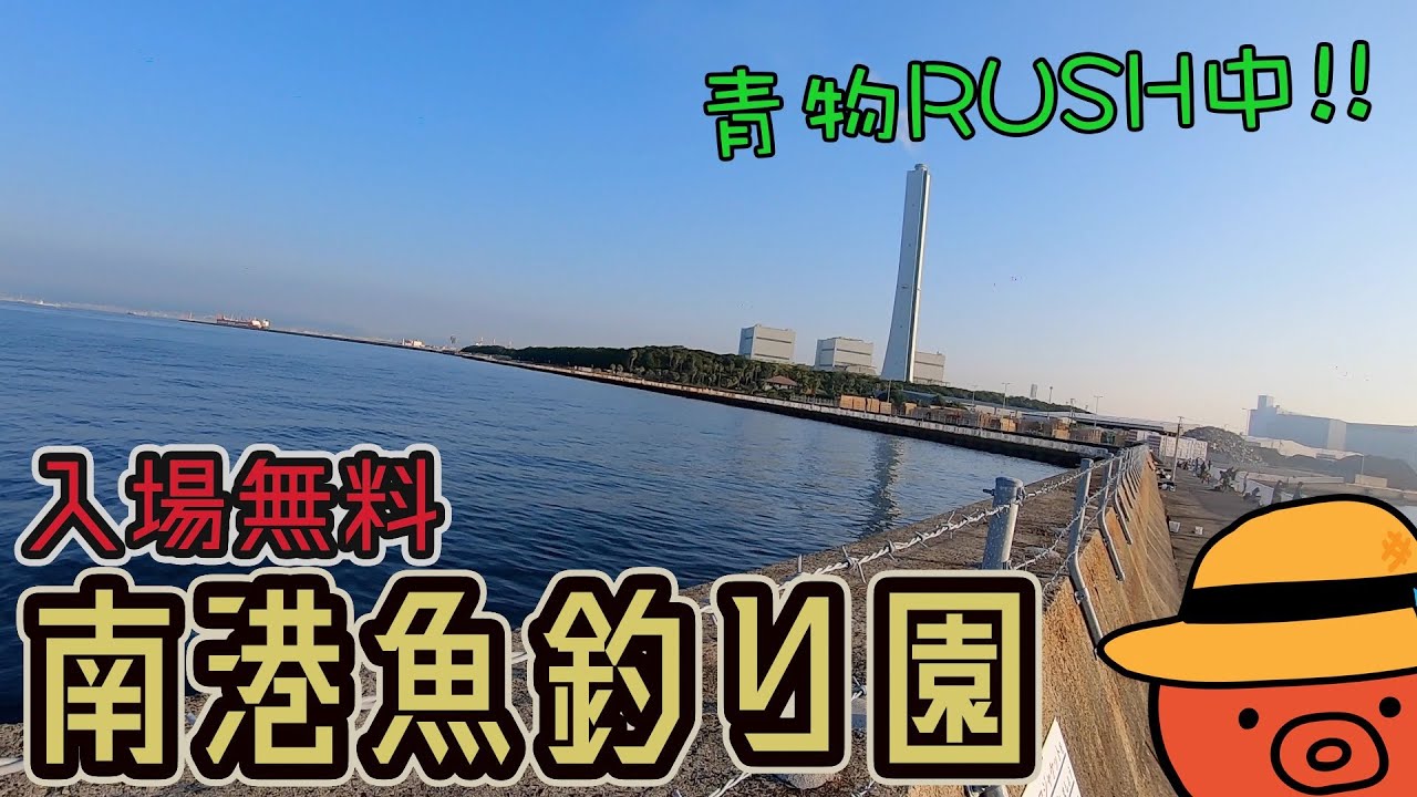 2022年10月の南港魚釣り園は無料で青物釣り放題ｨｨｨｨｨ!!!!!!!