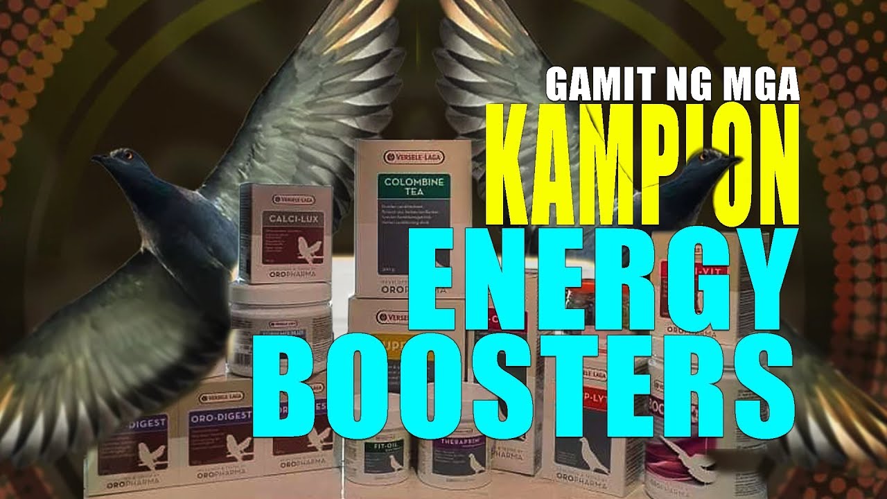 The secrets of Energy Boosters in your pigeon