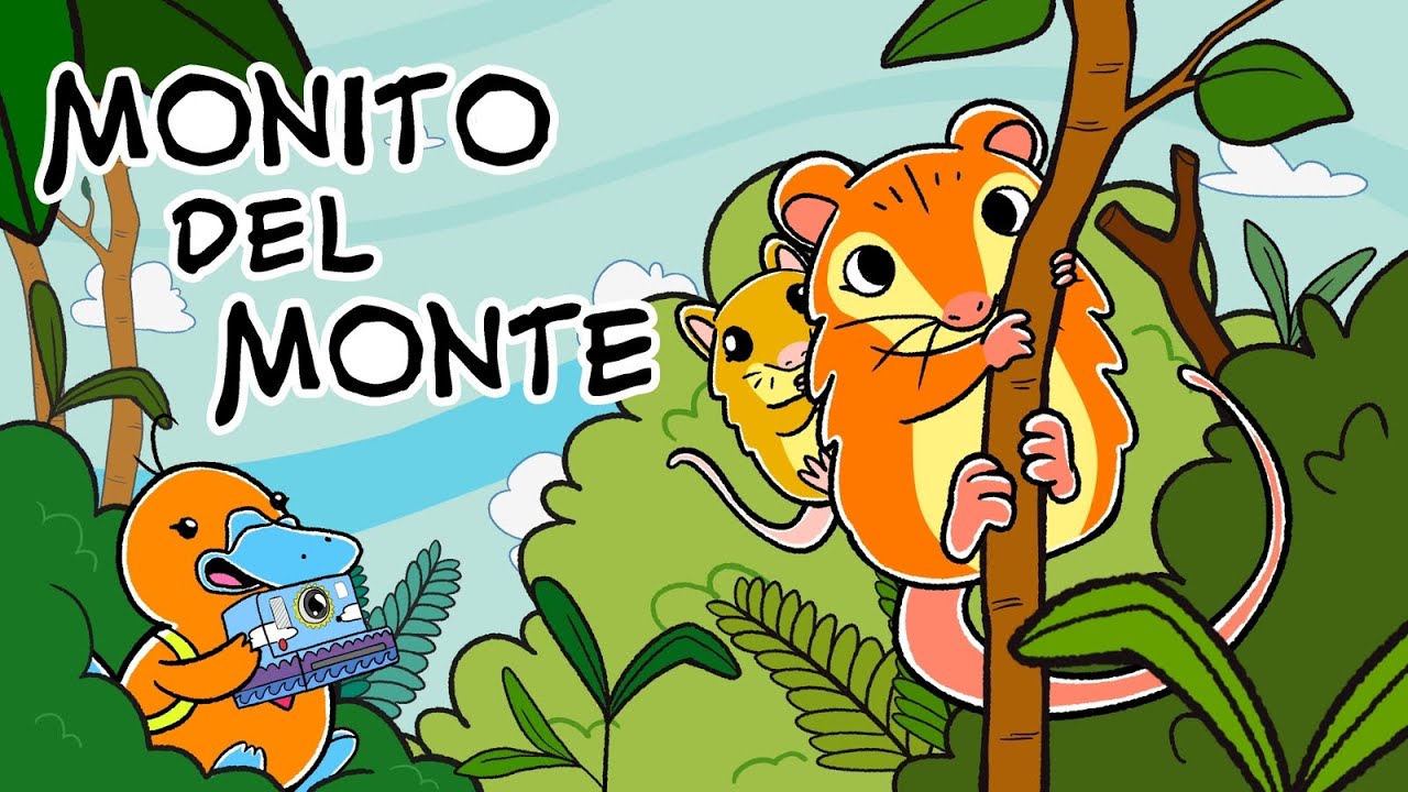 Hola Flinko - Monito del monte / Cap&iacute;tulo 4 Completo Temporada 1