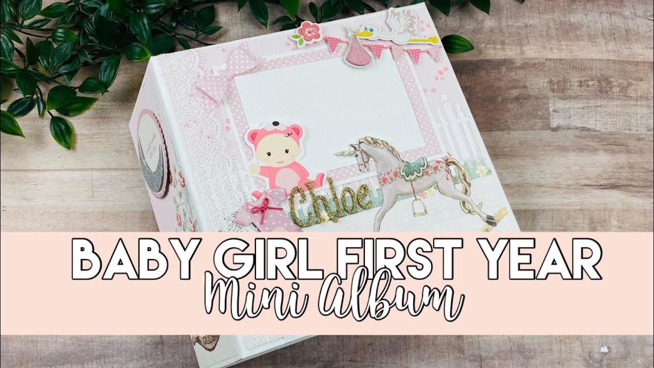 Baby Girl Mini Album | Month to Month