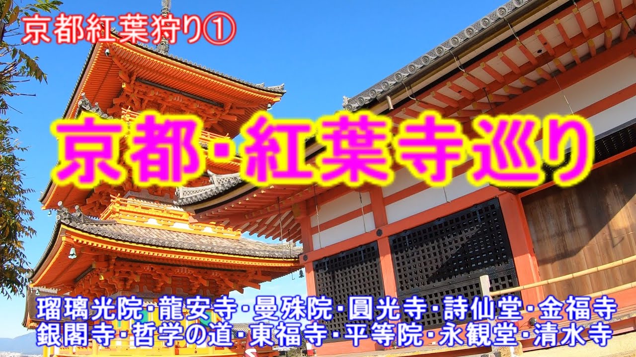 京都寺巡り/紅葉シーズンの終盤