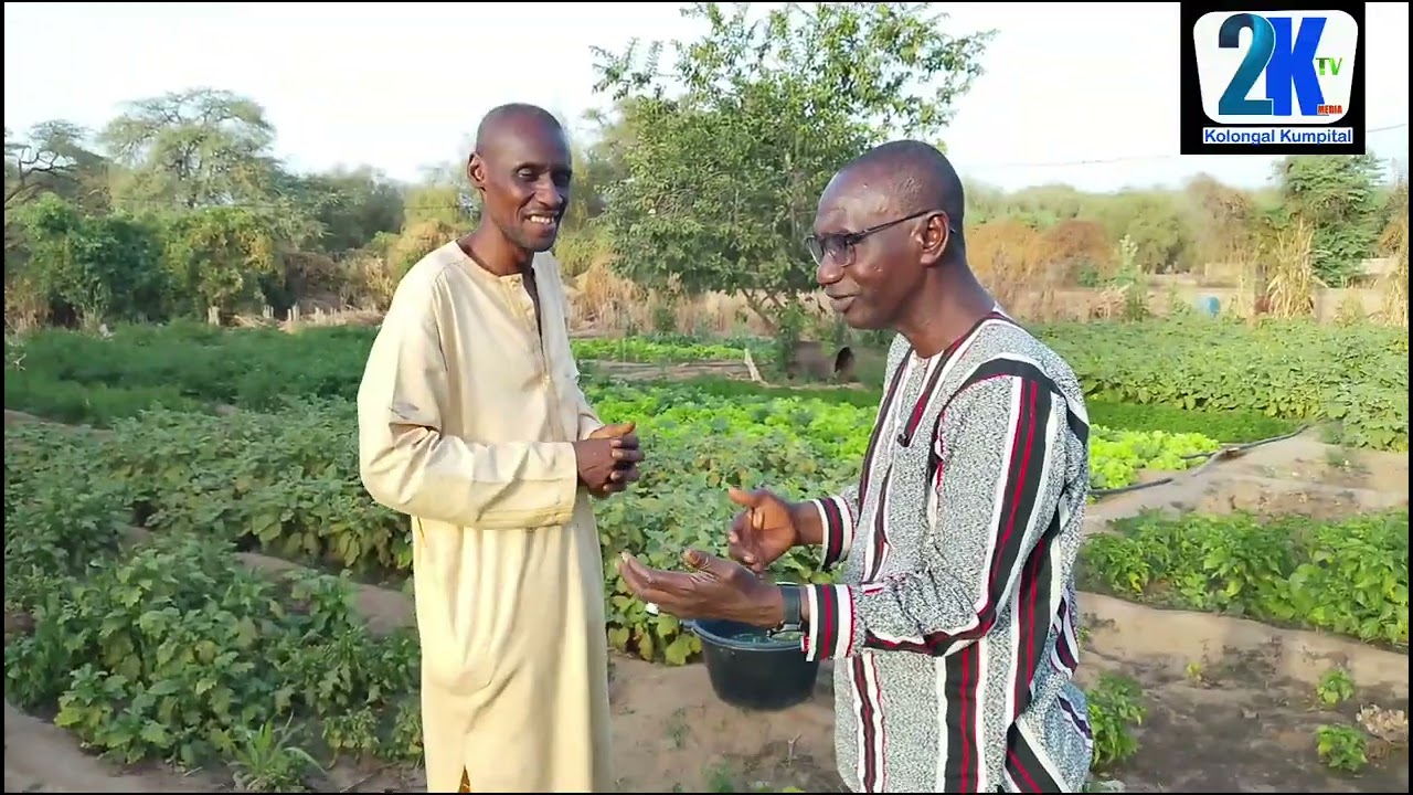 INFOS : A LA DÉCOUVERTE JARDIN SAMBA MOUSSA GASSAMA DE NDOULOUMADJE DEME