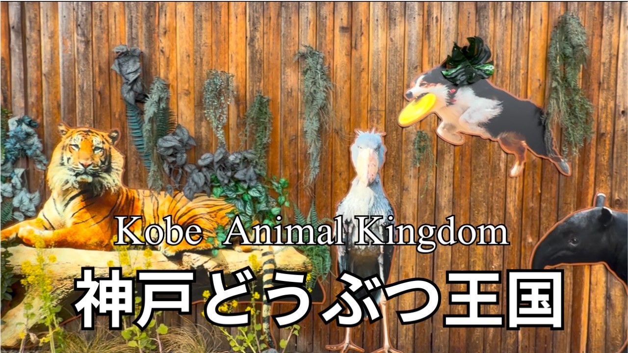 【vlog】神戸どうぶつ王国