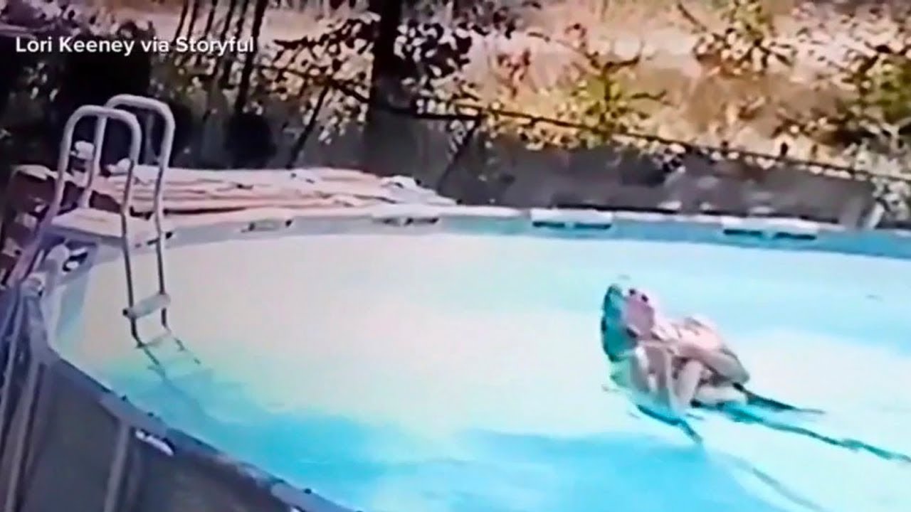 10-year-old boy saves mom from drowning as she suffered seizure in pool | ABC7