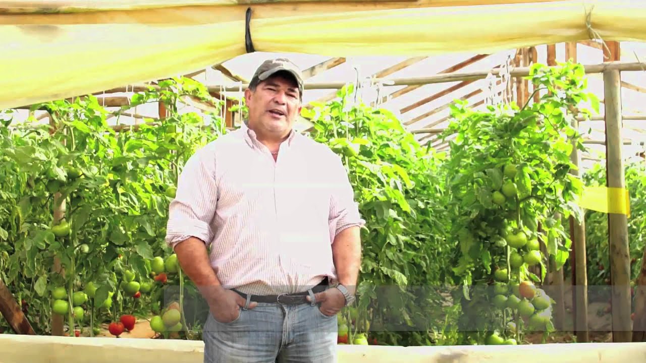 Seminis 7742net.mov