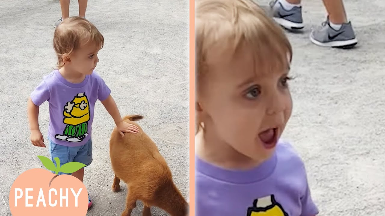 Best Friends Furever 🥰 | Cute Kids with Animals Compilation | Peachy 2022