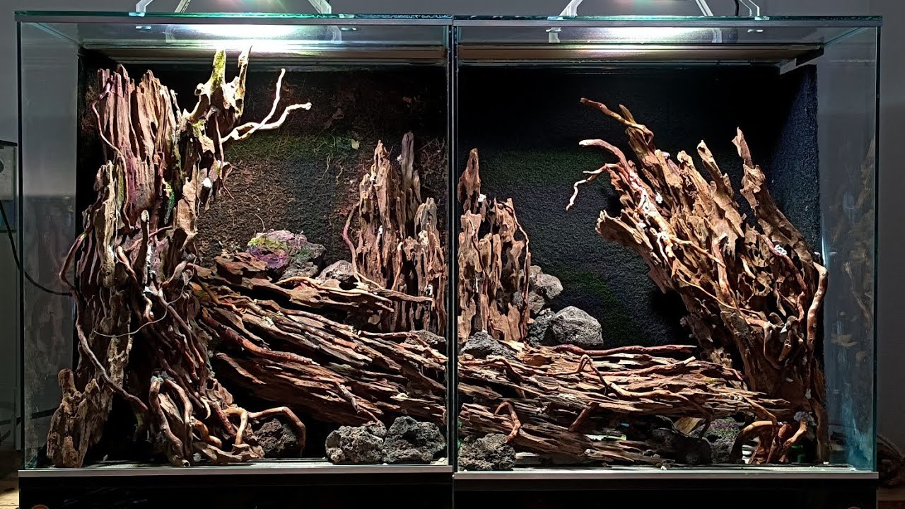 Todo lo que necesitas saber para montar tu vivario LTB.