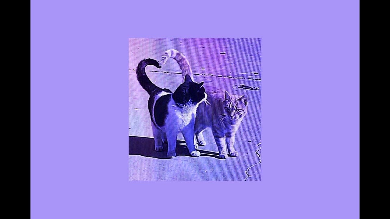Cults- Always Forever// sped-up×reverb//