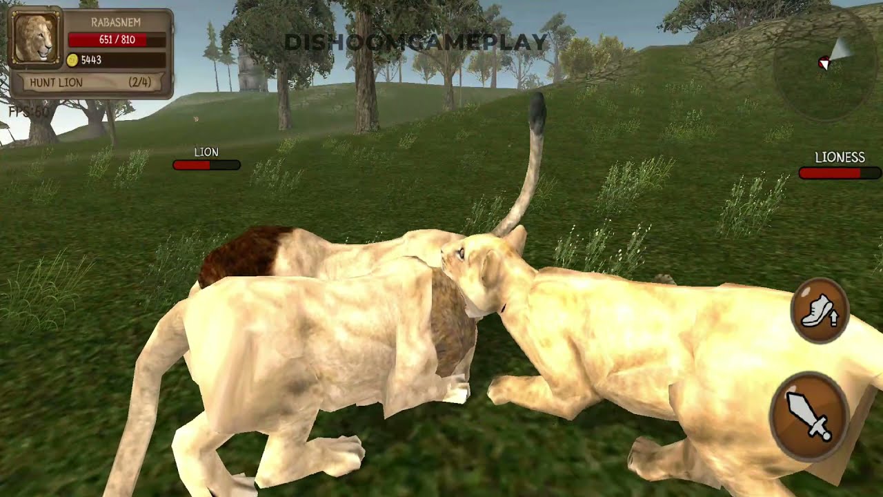 Ultimate Lion Simulator - Lion Vs Boar, Crocodile, Panther Android Gameplay #21
