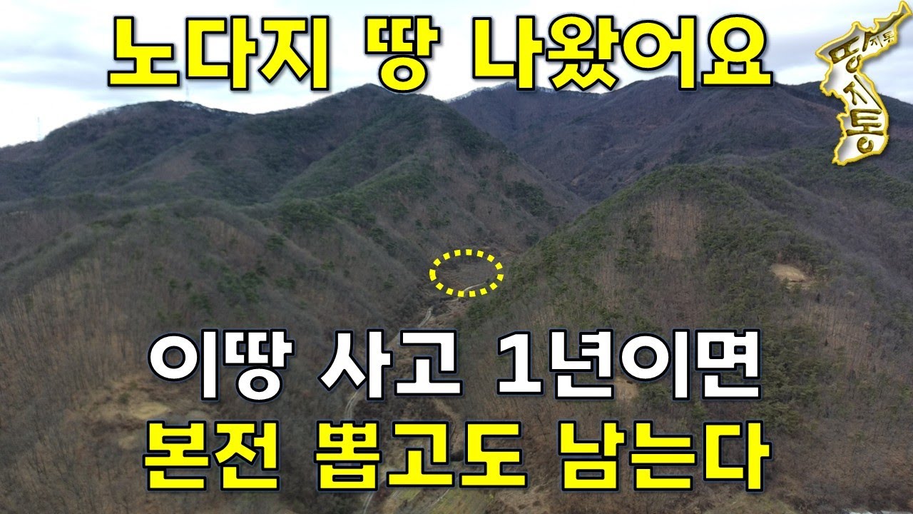 국유림아래 계곡물 흐르는 밭647평 1400만원인데 1년이면 본전 뽑고도 남는다[땅지통]