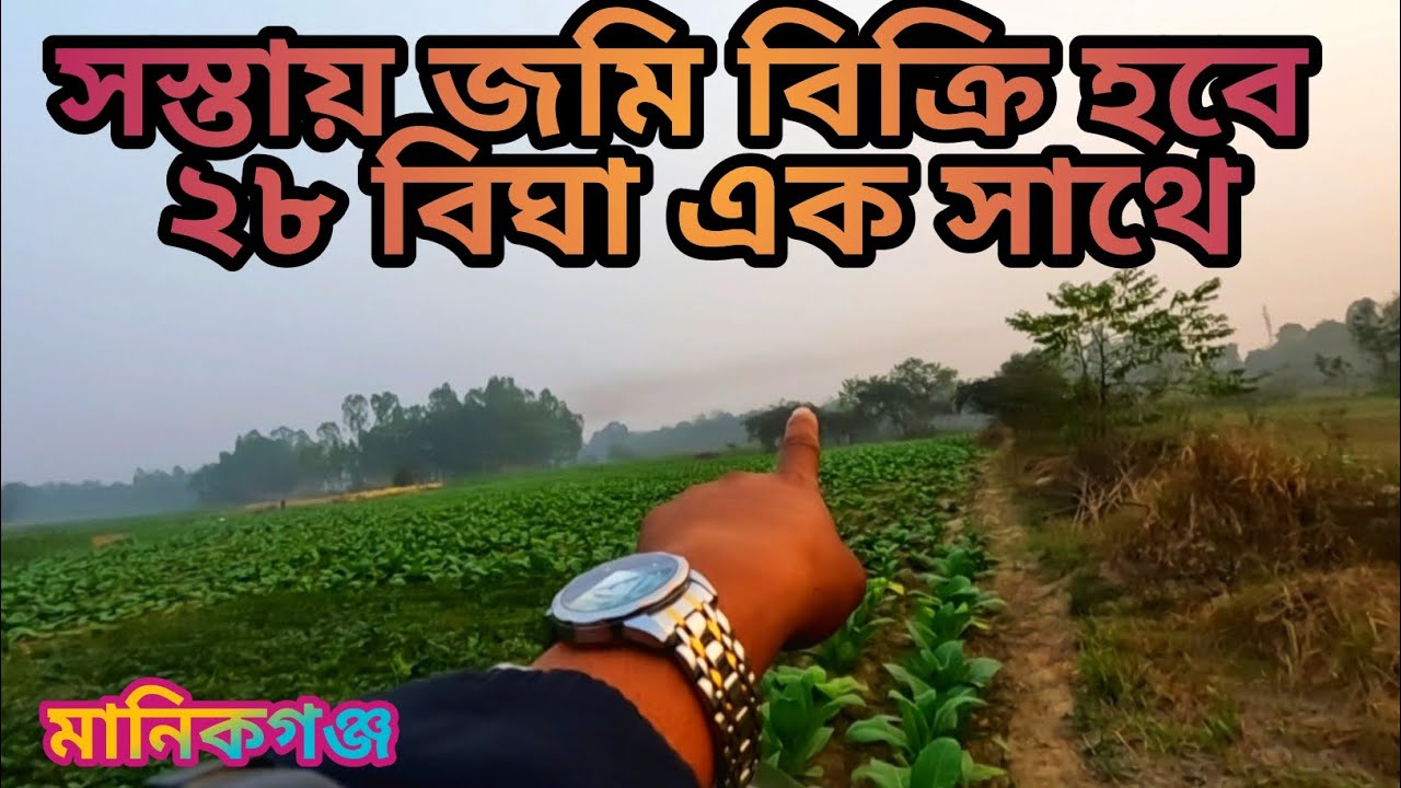 এতো সস্তায় জমি বিক্রয় হবে ২৮ বিঘা এক সাথে || খামার বা বাগান বাড়ি করার উপযোগী মানিকগঞ্জে ||
