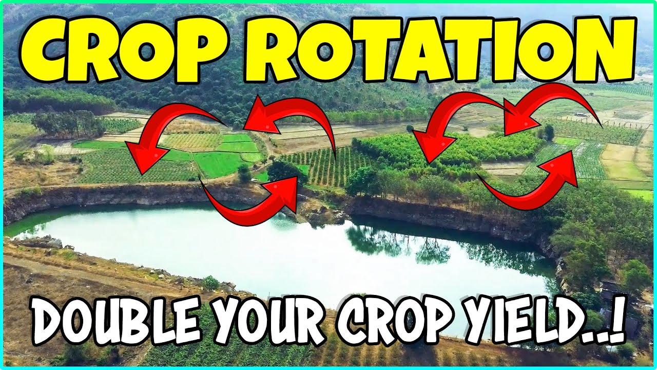Crop Rotation: A Way To Boost Your Yields