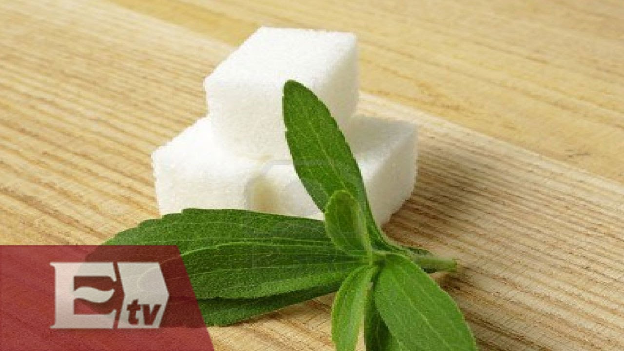¿Qué es y para qué sirve la Stevia? / Vianey Esquinca