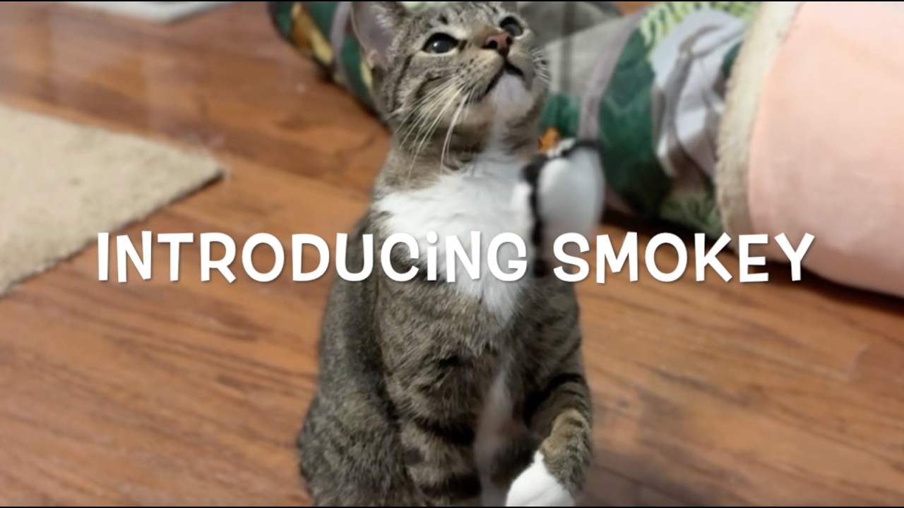 Sweet Smokey